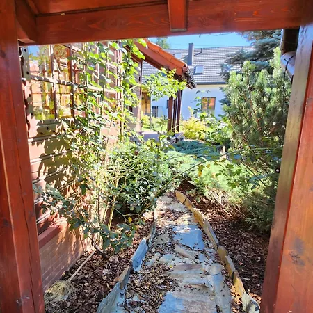 Koloc Dom Drewniany בקתה Ujsoły