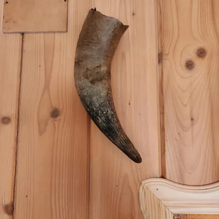 בקתה Koloc Dom Drewniany *