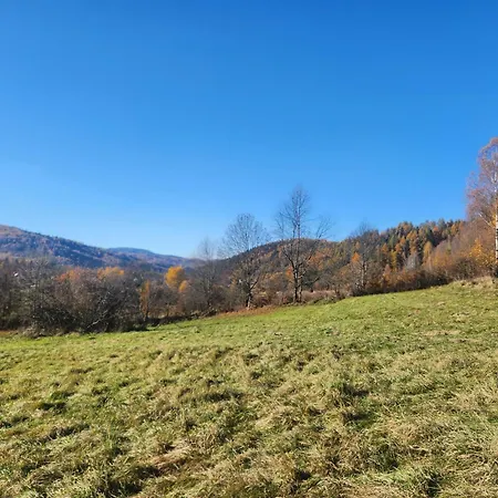 Koloc Dom Drewniany בקתה *