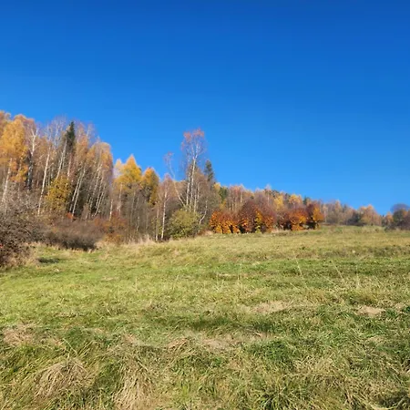Koloc Dom Drewniany Ujsoły