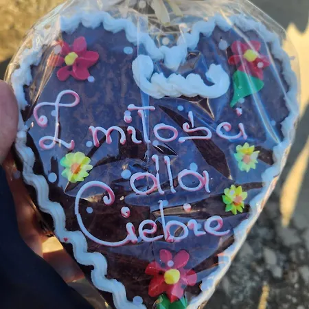 Koloc Dom Drewniany בקתה